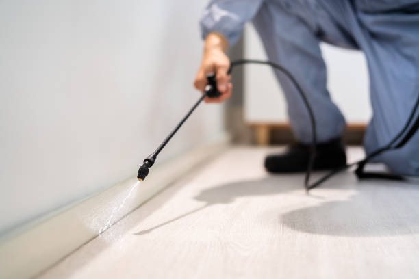 Licensed Cockroach Control service in Snowflake, AZ - Nex Pest Control